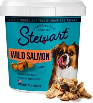 Stewart Freeze Dried Dog Treat