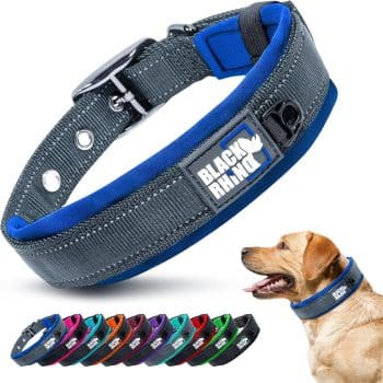 Black Rhino Dog Collar for Large Dogs