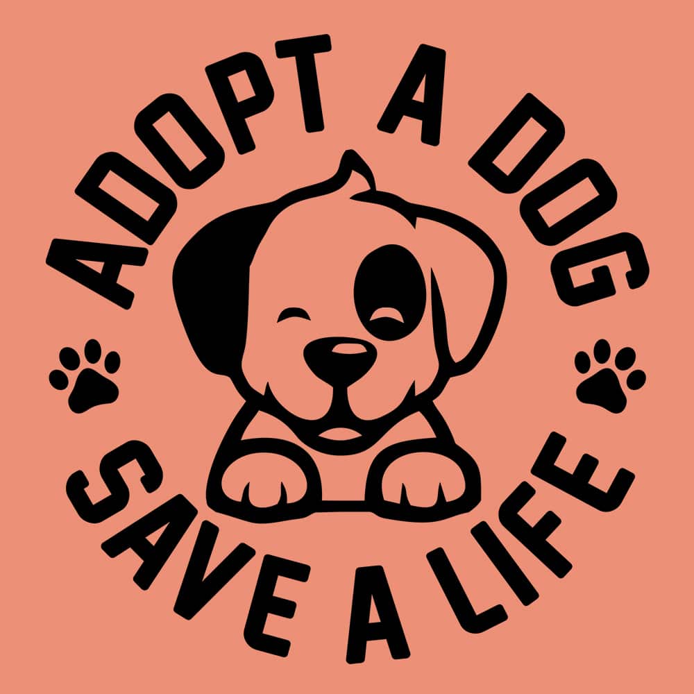 Secondary Product Image