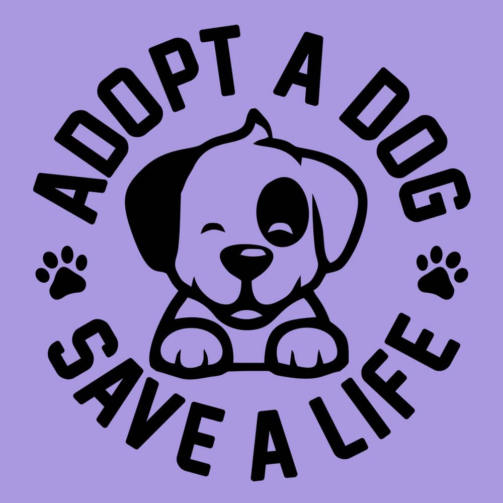 Secondary Product Image