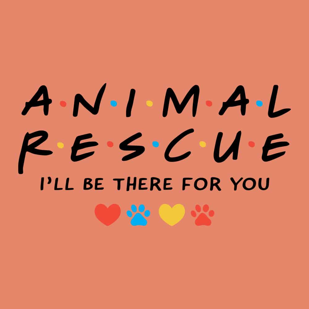 Secondary Product Image