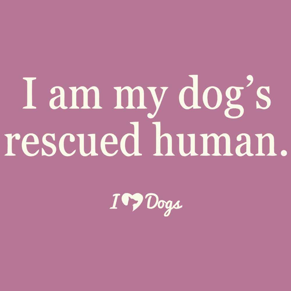 Secondary Product Image