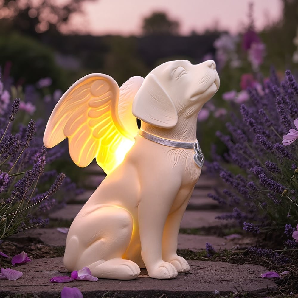 FUND 20 Meals For $20 and Get A FREE Dog Angel Solar Memorial Statue – A Glowing Tribute to Your Beloved Dog, Complete with Gift Box