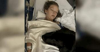 Black Lab Squid and child patient