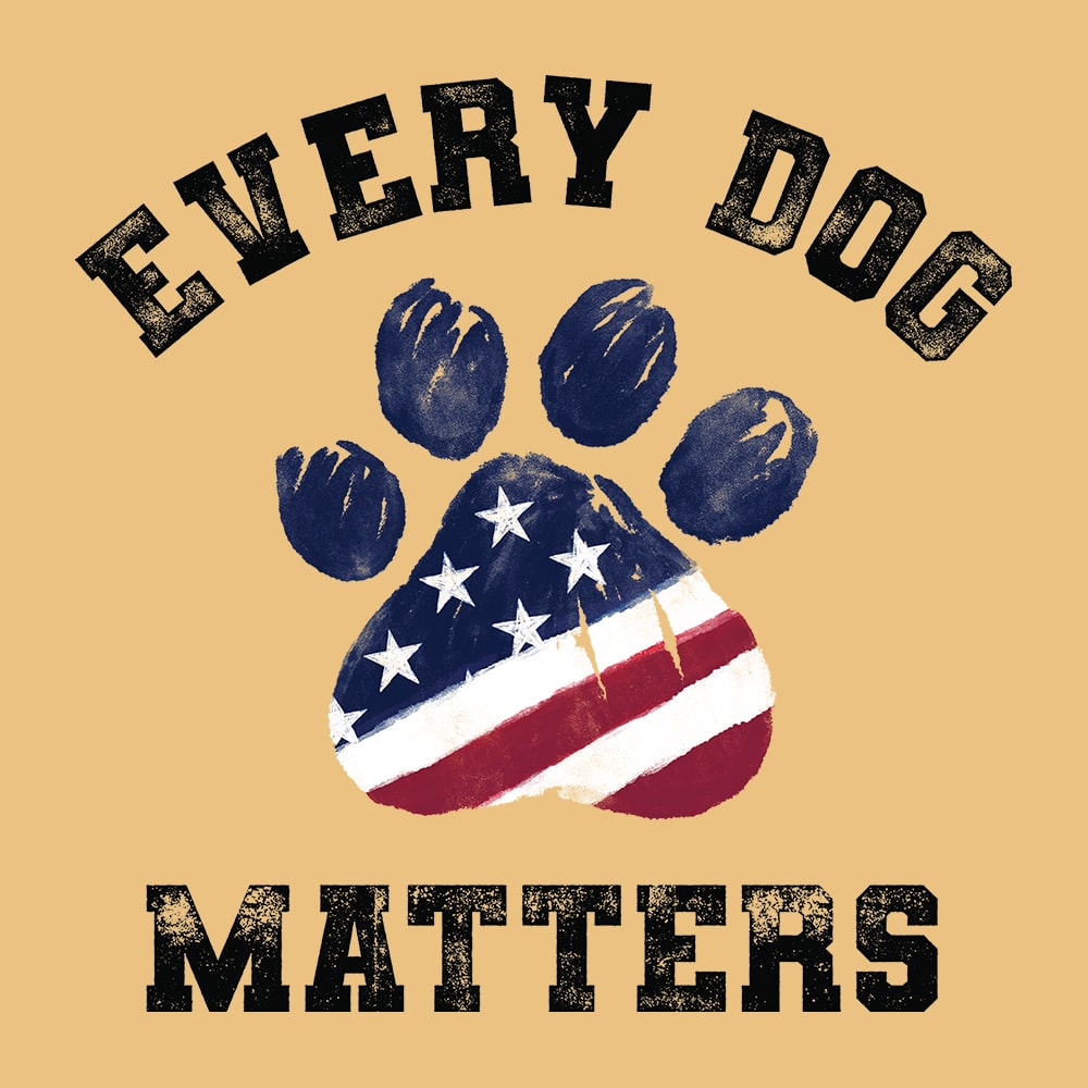 Secondary Product Image