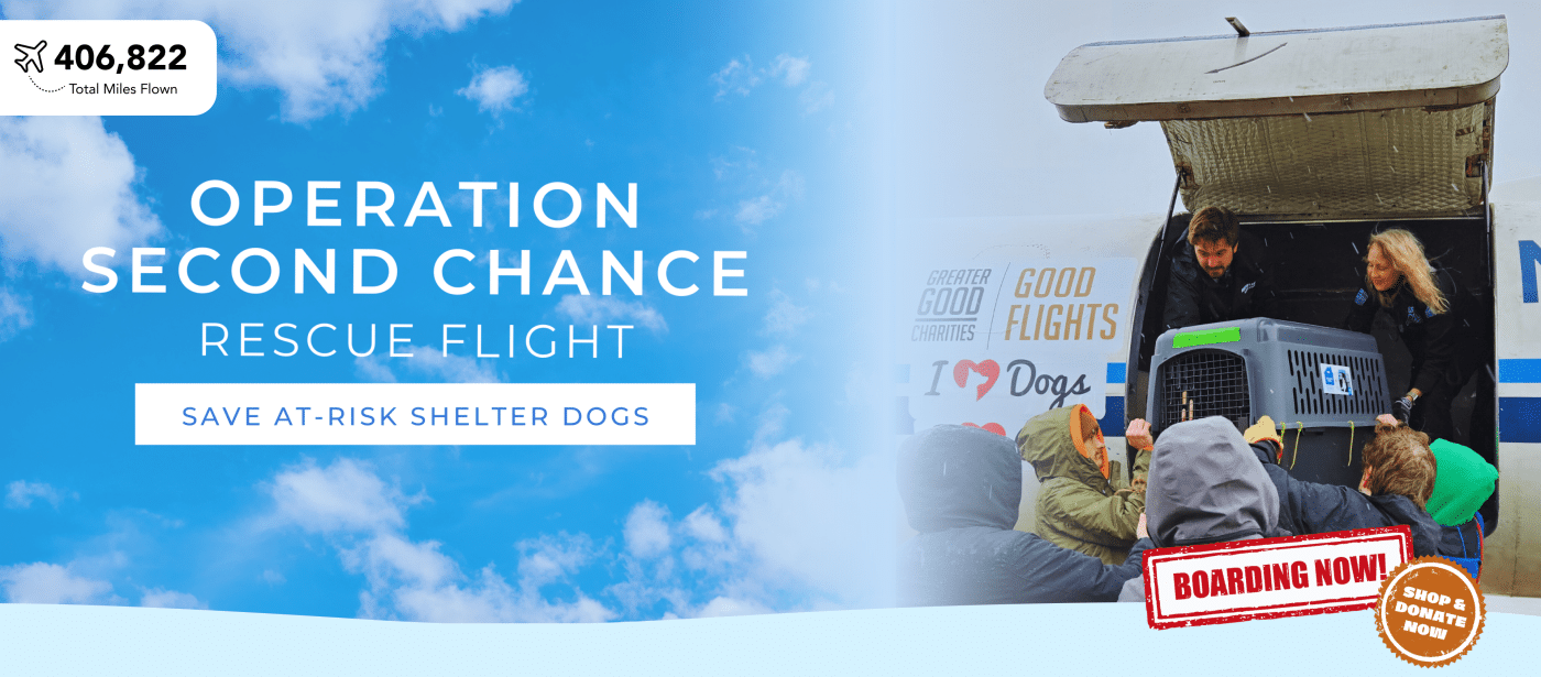 The Second Rescue Second Chance Movement™ Rescue Flights - iHeartDogs.com