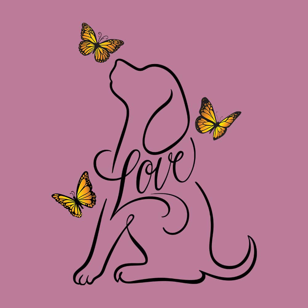 Secondary Product Image