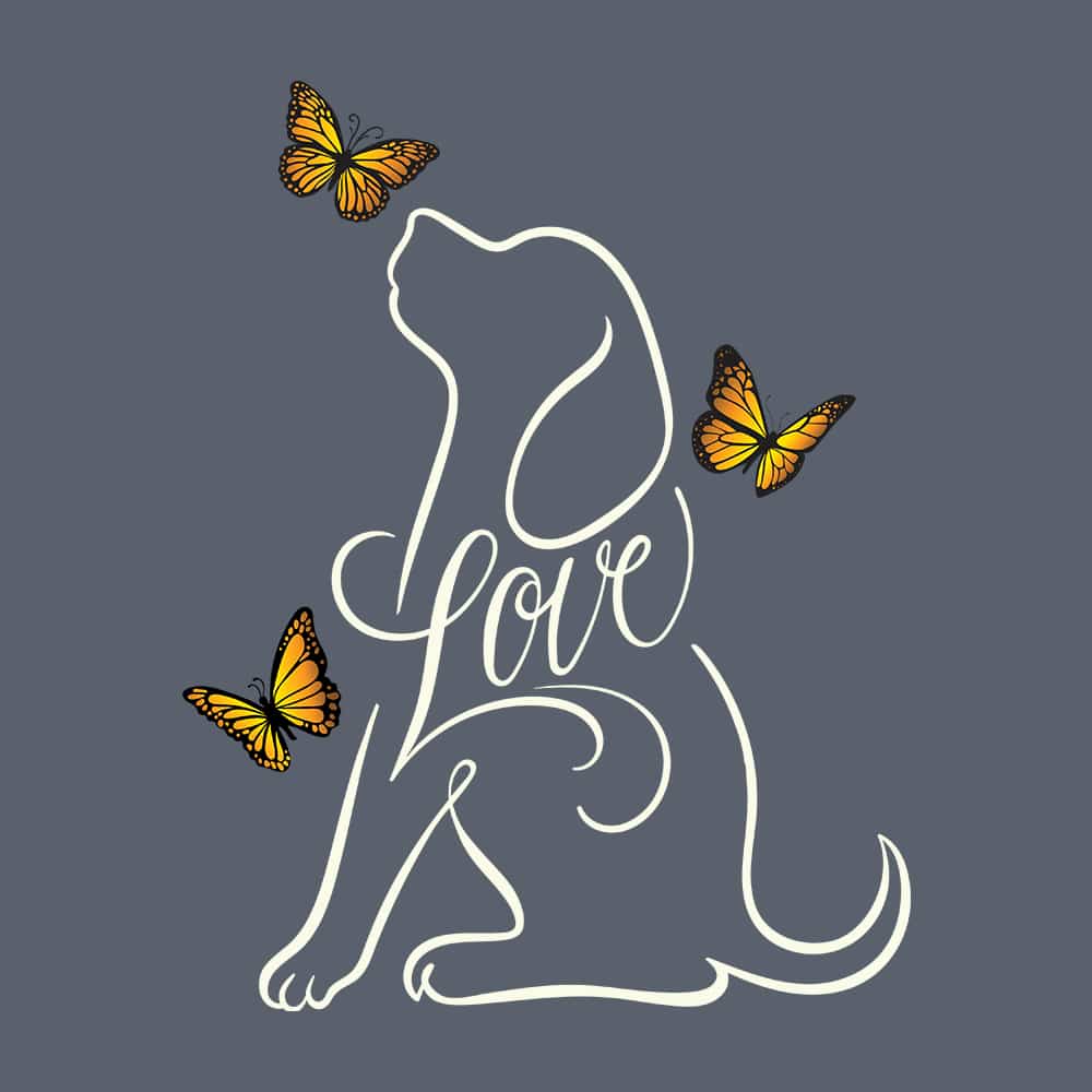 Secondary Product Image