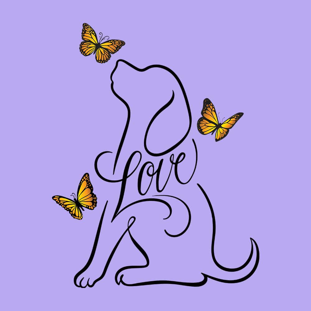 Secondary Product Image