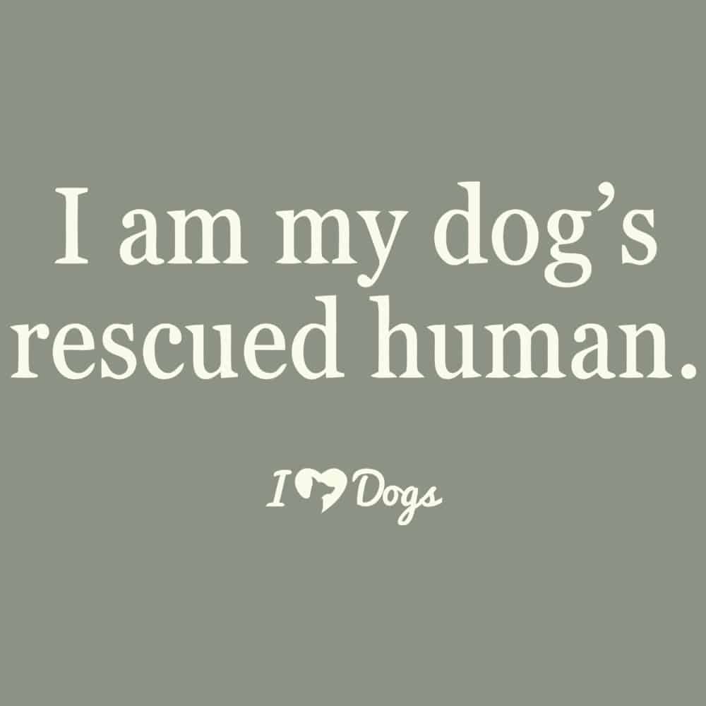 Secondary Product Image