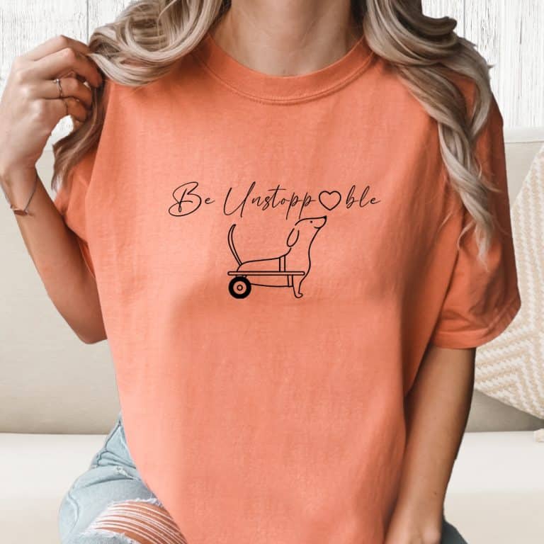 Comfort Colors Be Unstoppable - Dachshund Vintage Washed Tee - Terracotta