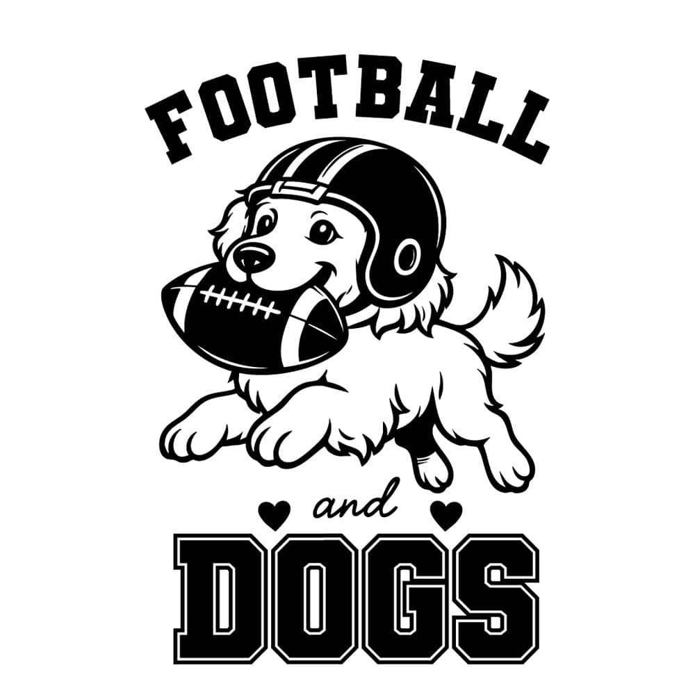 Secondary Product Image