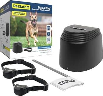 PetSafe Stay & Play 2-Dog Compact Wireless Fence