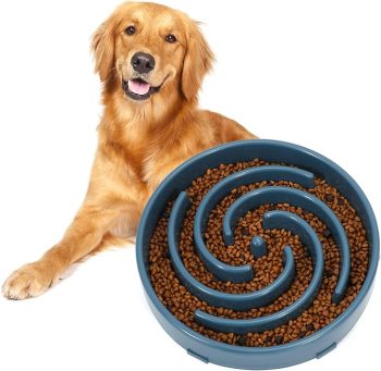 Blue Slow Feeder Maze Puzzle Bowl