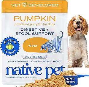 Native Pet Pumpkin for Dogs