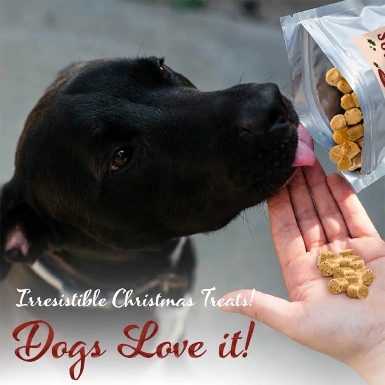 Iheartdogs iHeartDogs Christmas Crack™ Dog Treats with Chicken & Cranberry- 6 oz ...