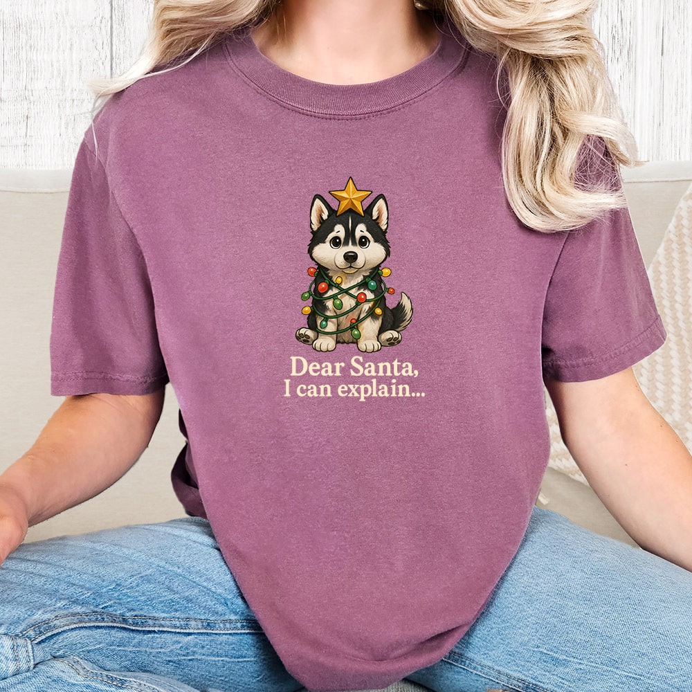 Comfort Colors Dear Santa, I Can Explain Vintage Washed Tee - Berry