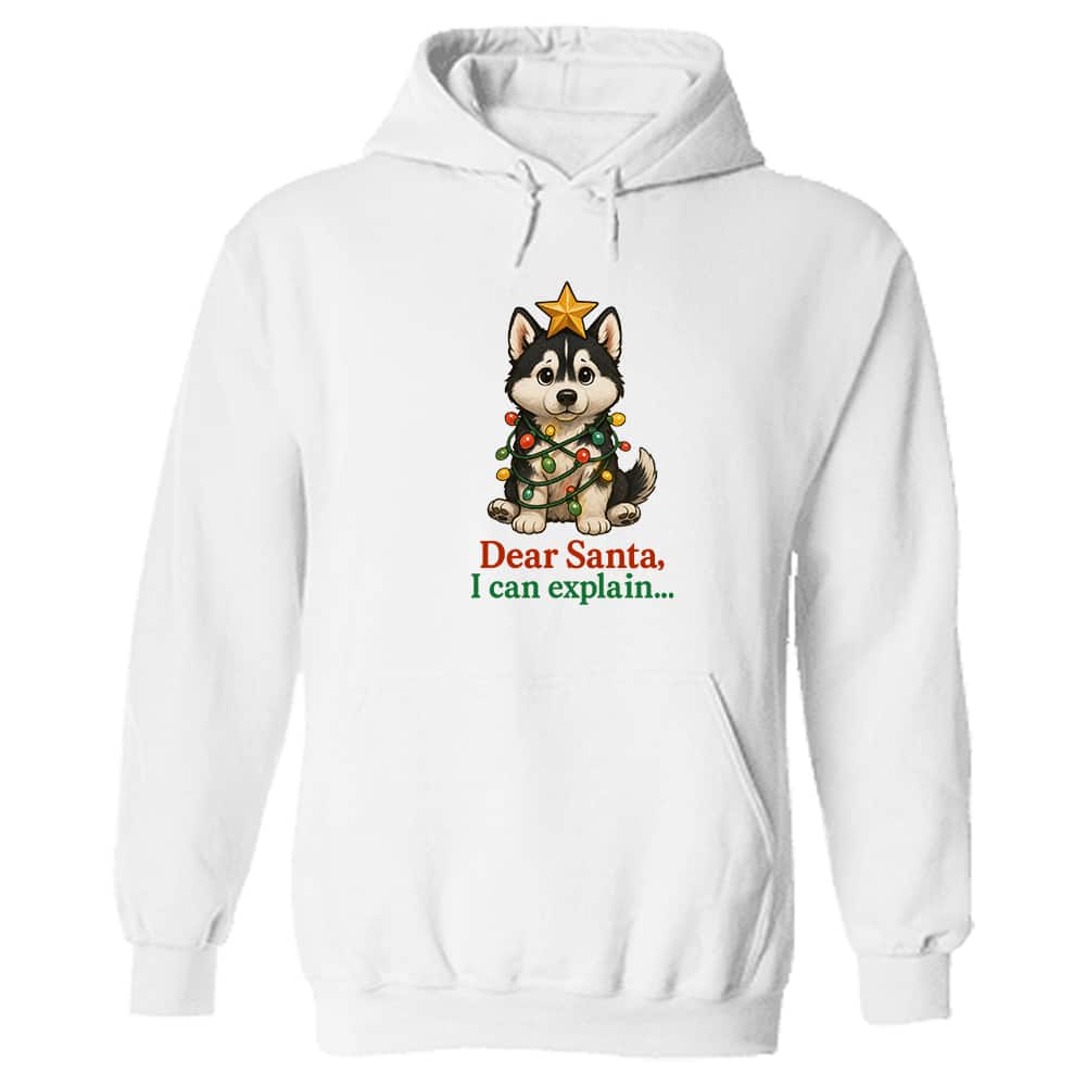 Dear Santa, I Can Explain Hoodie White