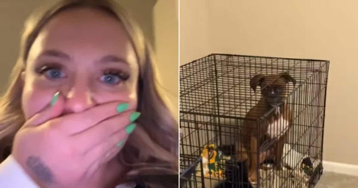 Dog Owner Checks Crate and Realizes Her Pup Has an ‘Unexpected’ Furry Roommate