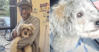 Dog and owner reunited after 10 years