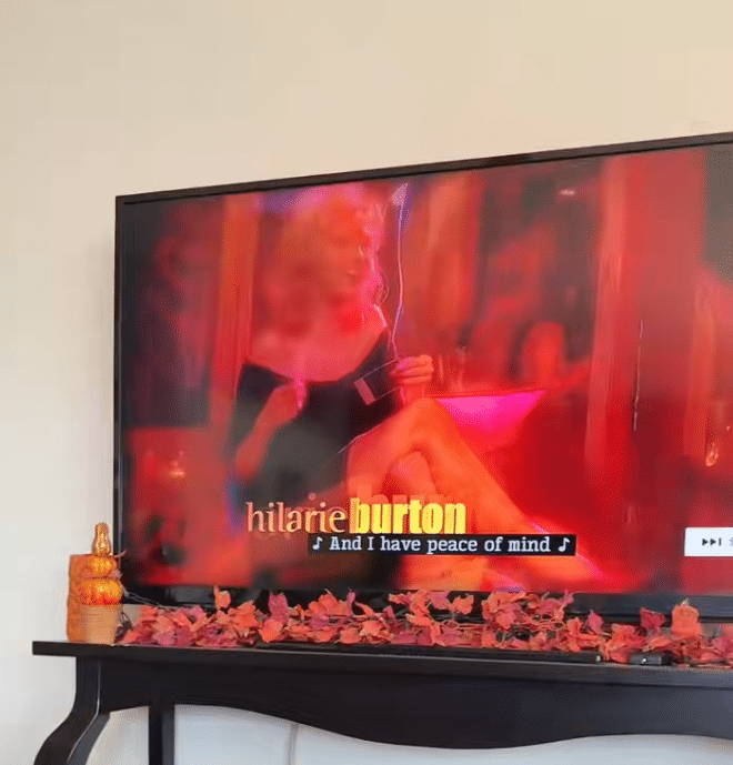 Happy rescue dog enjoying TV time