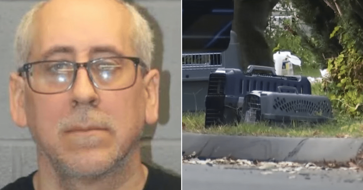 Man Charged With 50 Counts of Animal Cruelty After Dozens of Dogs and Cats Seized