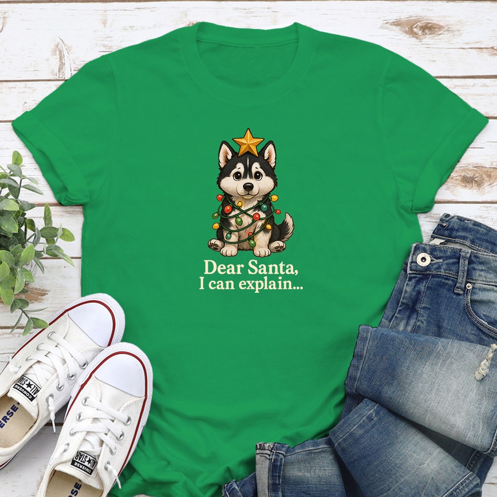Dear Santa, I Can Explain Standard Tee Irish Green