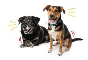 Group 48098744 Group 48098744