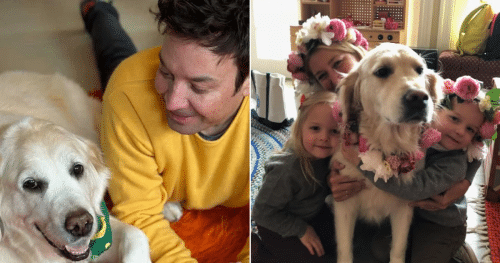 Jimmy Fallon with dog Gary