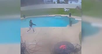 Fearless puppy swims in pool