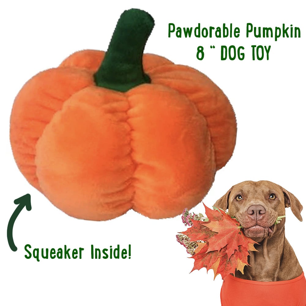 Plush Pumpkin Dog Toy – Soft Squeaky Fall Themed Toy for Dogs