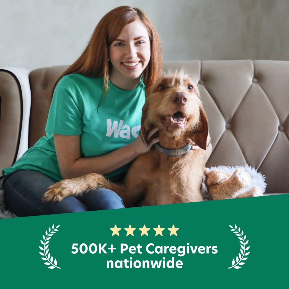 Yes - I want a FREE $50 Wag! Dog Walking or Pet Sitting Credit