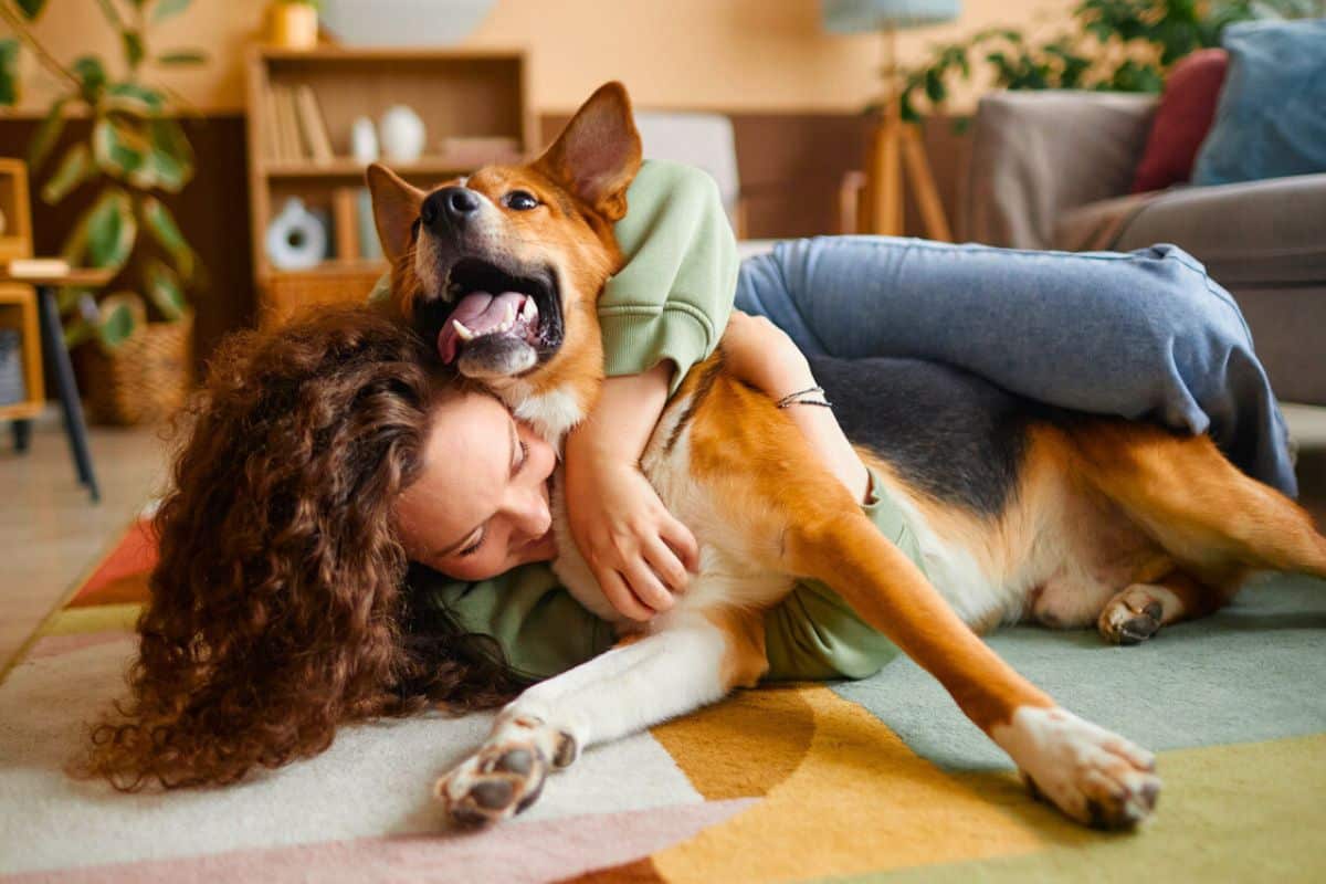 Petting your dog: 7 surprising mistakes even devoted owners still make