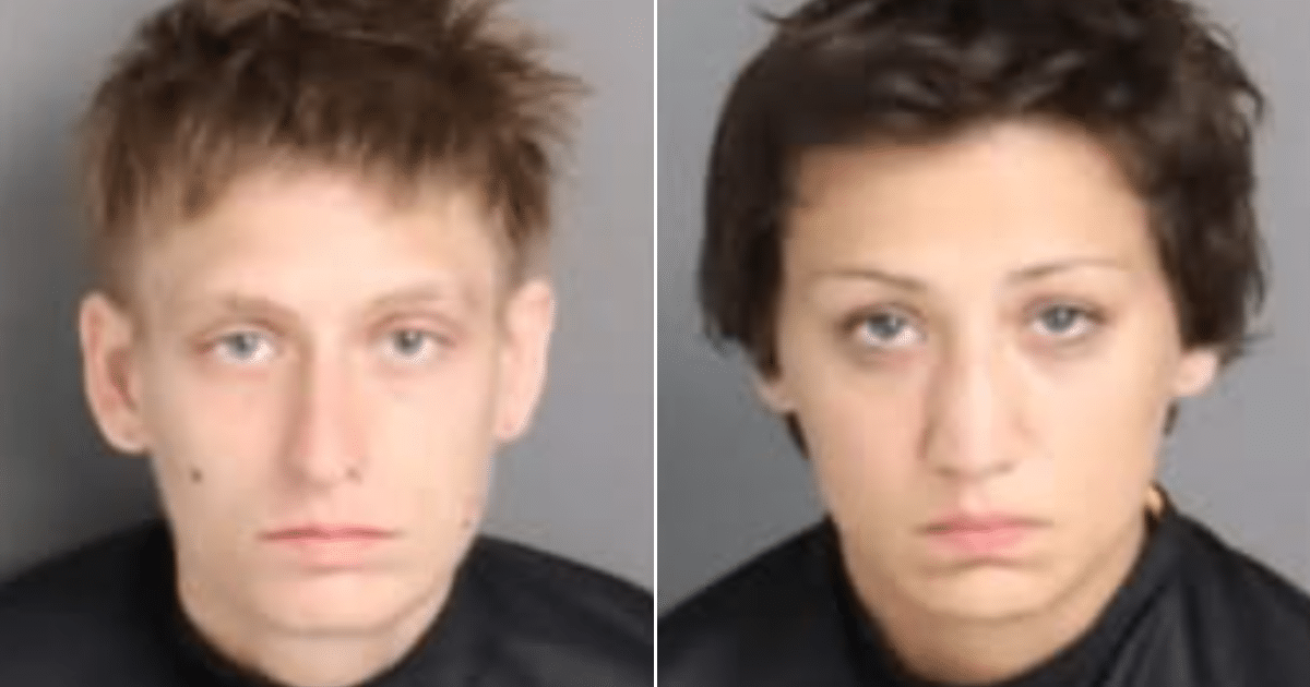 Monsters Face Charges for Allegedly Setting Innocent Dog on Fire