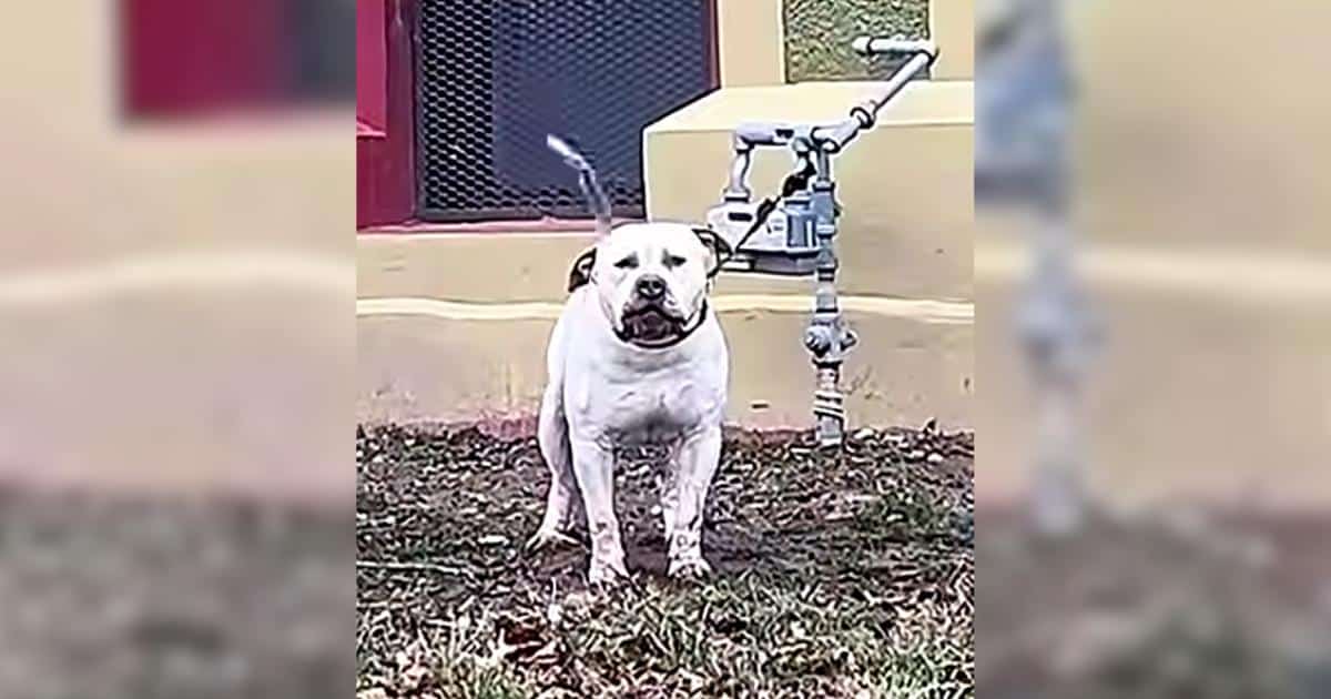 A Rainy Day in the Park Changed Everything for Eddie