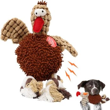 SPOT Gigglers Chicken Dog Toy