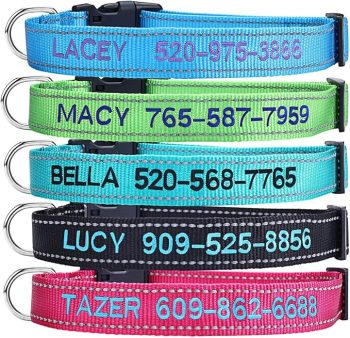 Personalized Dog Collar