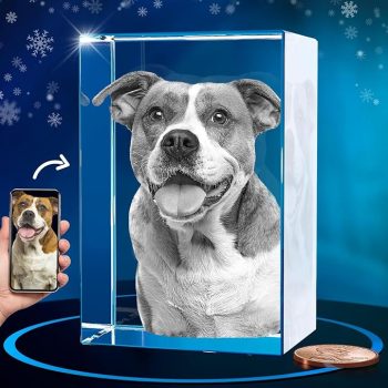 ArtPix 3D Crystal Photo