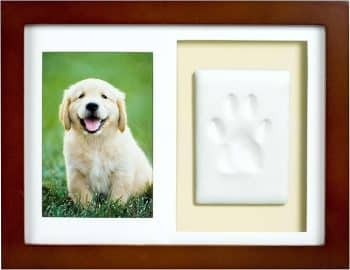 tiny ideas Paw Print Keepsake Impression Kit