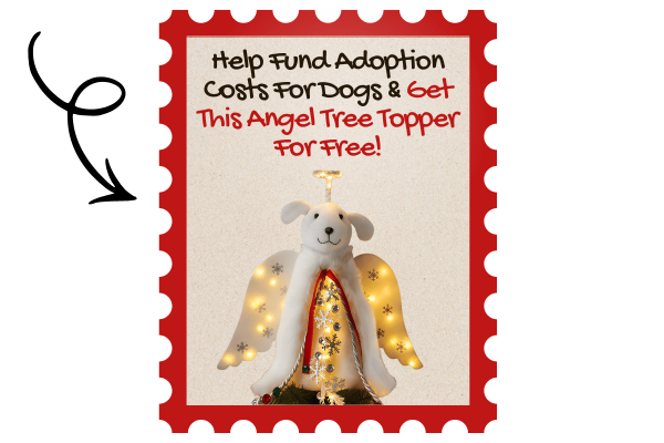Help Fund Adoption Costs For Dogs & Get This Angel Tree Topper For Free. (1)