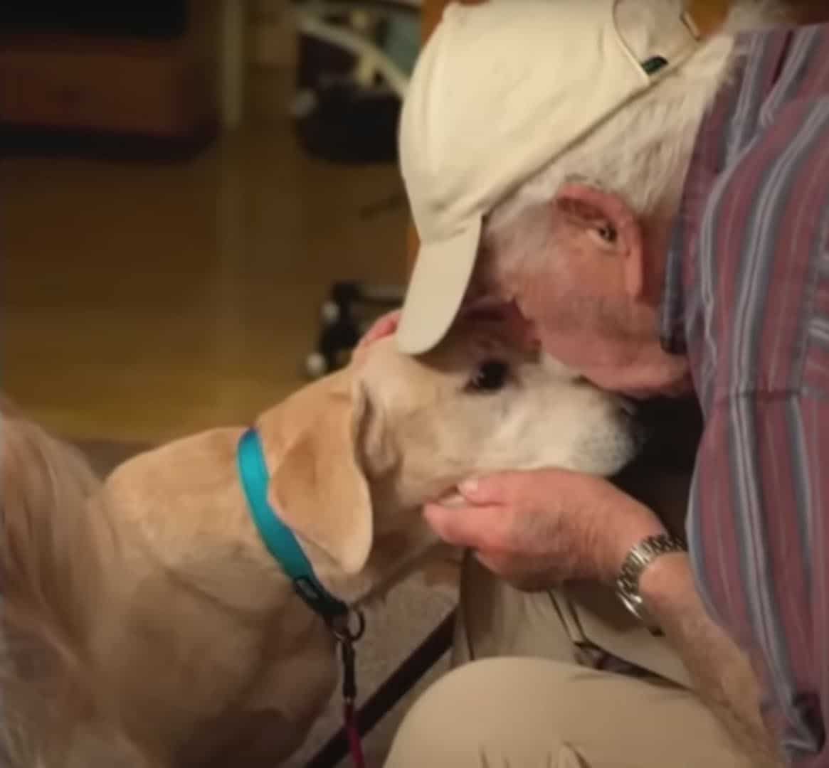 93-Year-Old Man Finds Lost Dog Thanks to Trail of His Own Smelly Socks ...