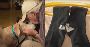 Elderly man reunited with dog