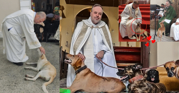 Father João Paulo with rescued dog at church