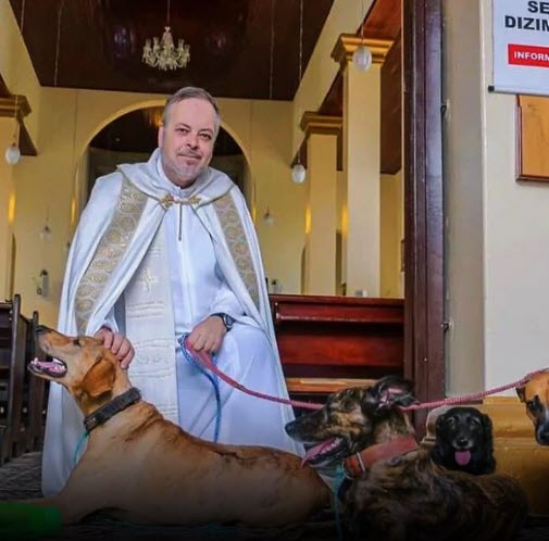 Rescued dogs find safety in church