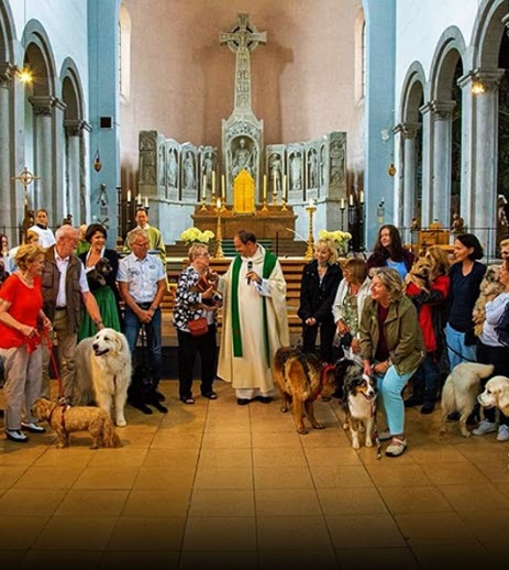 Dog joins Father João Paulo at altar