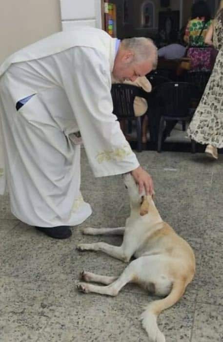 Dog posing affectionately with priest