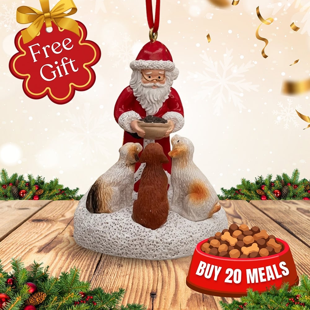 Fund 20 Meals for $10 & Get a Free Santa’s Light Of Hope Collectable Dog Ornament