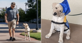 Service Dog Saves Veteran