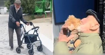 Tiny dog inspires joy in elderly man