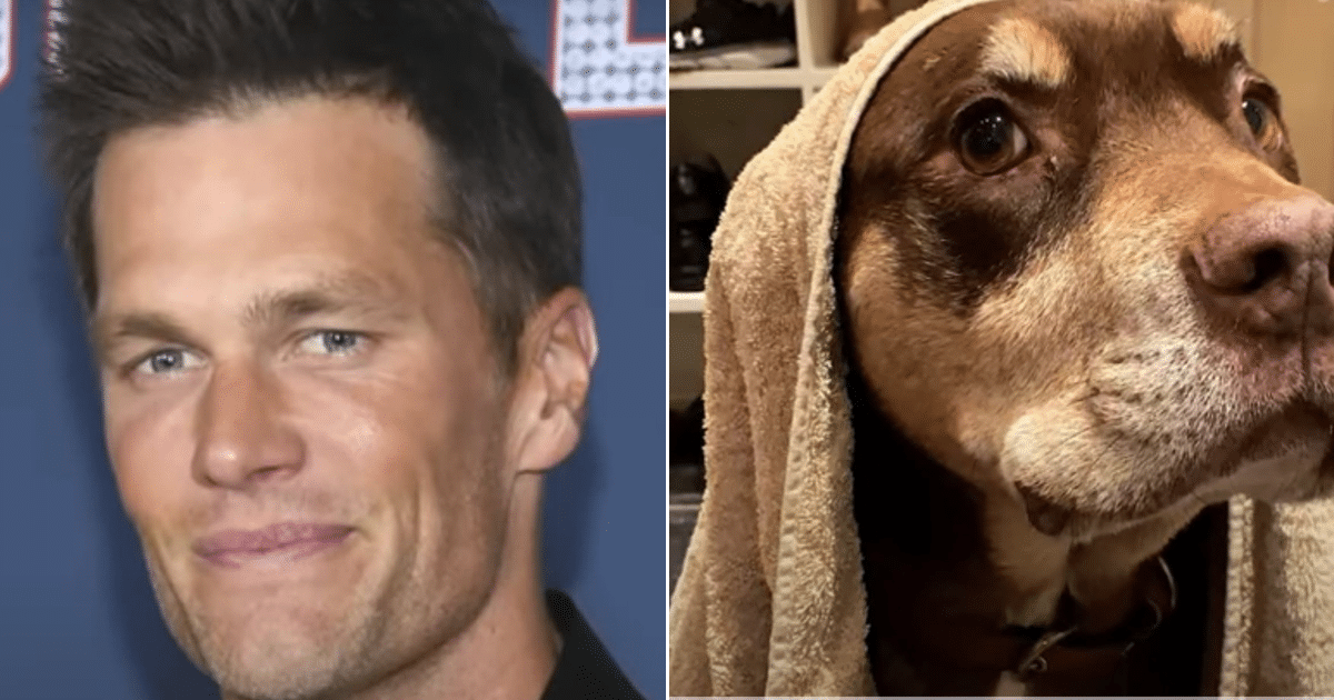 Tom Brady Clones His Late Dog, Sparks Debate Over Science and Love